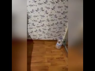 video горячая школьная вечеринка sex
