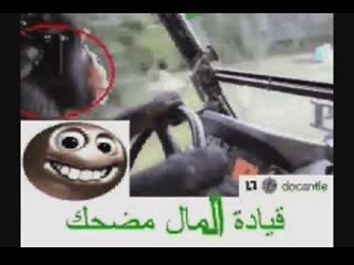 video monky in car halal good pork جيد الله جيد لحم الخنزير سيئ give now upvot sex