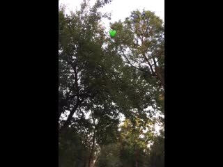 video lez vid 20200809 002934 254 mp4 sex