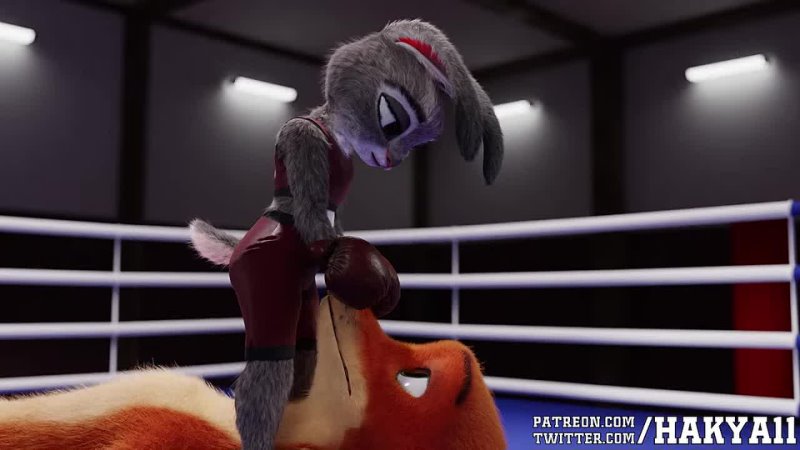 video 3d hot by hakya11 hd porn sex e621 fye straight fox dominates a rabbit judy zootopia r34 rule34 sex