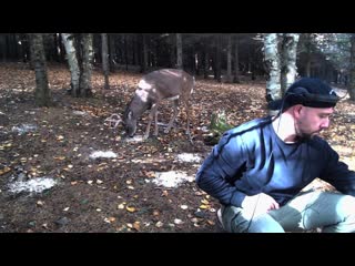 video monarke live from quebec canada october 2020 sex