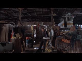 video эйс вентура розыск домашних молодые ace ventura pet detective 1993 sex