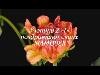 video 2 г поздравляет дорогих мамочек sex