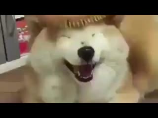 video vminkook sims by porn ¹⁸ sex