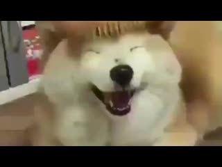 video jikook sims by porn ¹⁸ sex