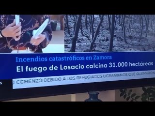 video time vid 20220726 091720 045 mp4 sex