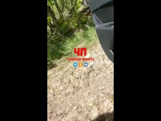 video незаконный слив нечистот в новомосковске sex