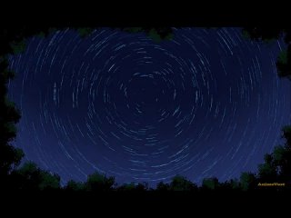 video маг целитель новый старт 2 sex