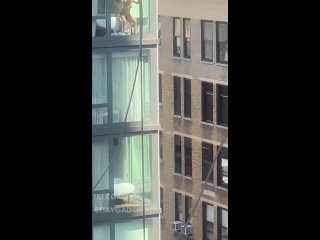 video origin selection день самоизоляции 18 большие сиськи подглядывание на публике вписка порно 18 sex