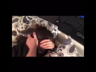 video девичник невесты закончился жесткой оргией порноинцест секс porn milf home шлюха домашнее sex