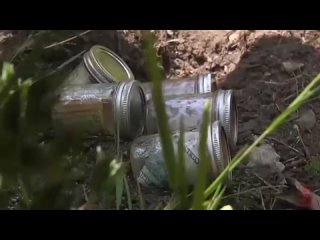 video связал и молодые беззащитную зрелую бабу sex
