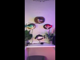 video alexas texas sex