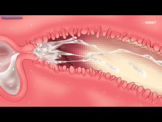 video 3d порно японская школьница и заброшенная фабрика русская озвучка sex