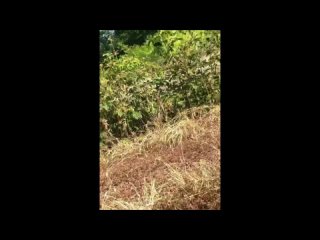 video секс знакомства выеби меня пожалуйста хочу ищу девушку на ночь бесплатный sex свидание пошлая девушкой без sex