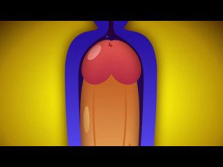 video zone ankha sex