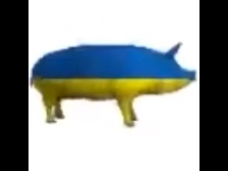 video свинья с окраской флага украины прыгает под песню еби меня по китайский соси хуй мой по туретски sex