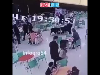 video мужчина ударил 18 летнюю девочку молодые на фуд корте в торгово развлекательном центре голден парк в новосибирске sex