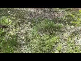 video сучка в черных лосинах согласилась потрахаться в заброшке найди себе шалаву для быстрого секса здесь sex