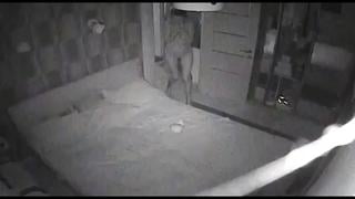 video муж поставил скрытую камеру русское домашнее порно молодые трахнул реальная измена слив бывшей телеграм sex