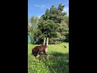 video первый канал снял туристическую передачу о нашем регионе sex