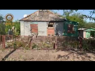 video завершился последний этап по освобождению камышевахи от вооруженных молодые кадыров sex
