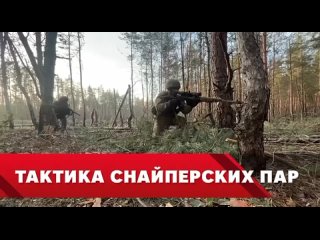 video сейчас наши снайперы начали применять новую по меркам спецоперации методику ведения боя sex