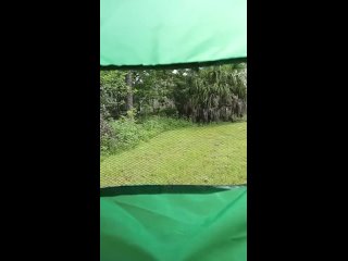 video комфортный отдых на природе sex