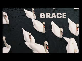 video прямой эфир в клубе grace элегантная женщина sex