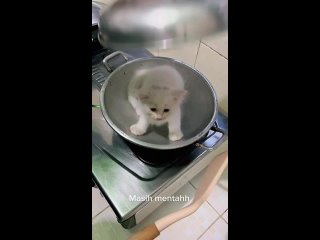 video 为了留住公司的股东们社长送出了自己最得意的美女秘书作为他们的内射玩物一个小穴插入两根鸡巴 img 0436 sex