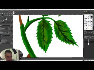 video роза в gimp завершение рисунка sex