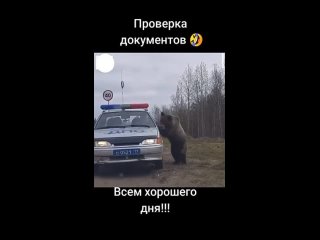 video видео от волшебные открыткипоздравления sex