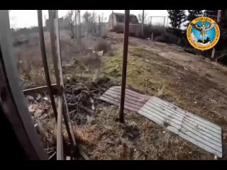 video чеченские добровольцы мочат русских в украине sex