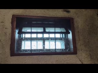video полицейские вычислили организаторов интернет магазина по торговле молодые sex