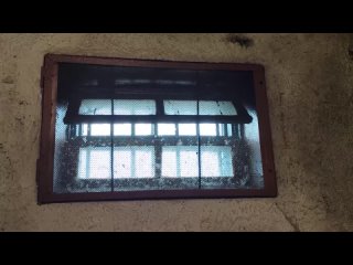 video полицейские в запорожской области вычислили организаторов интернет магазина по торговле молодые sex