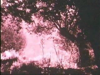 video наполеон napoleon 1927 абель ганс часть 1 sex