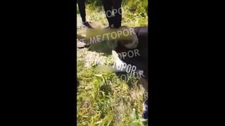 video поймали закладчицу и её парня sex