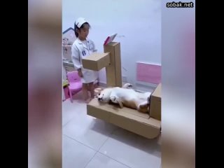 video в паблике reddit завирусилось видео в котором девочка проводит медицинские манипуляции над своим ко sex