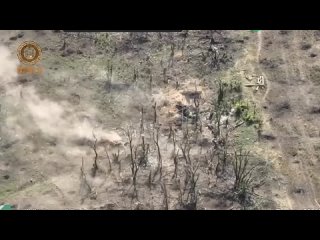 video четко слаженно планомерно спецназ ахмат зачищает серебряное лесничество в кременском направлении от неприятеля sex