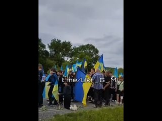 video такая картина сейчас по всей украине на передовую просто как пушечное мясо отправляются очередные эшелоны молодых sex
