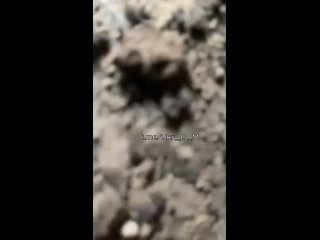 video вс рф беспрерывно работают по скоплению живой силы укронацистов в режиме нон стоп не давая им головы поднять всу sex
