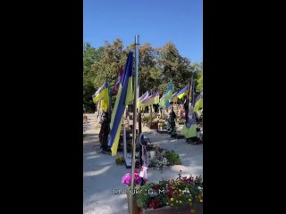 video такая картина сейчас по всей украине на передовую просто как пушечное мясо отправляются очередные эшелоны молодых sex
