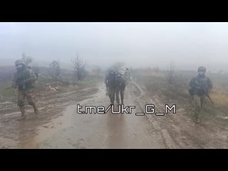 video командование всу не стремится применять дорогостоящую зарубежную технику для перемещения личного состава sex