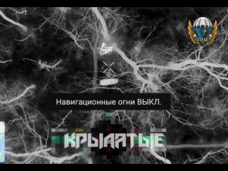 video артемовское направление продолжается отлов заблудившихся в лесу представителей потерянной страны russian airborne sex