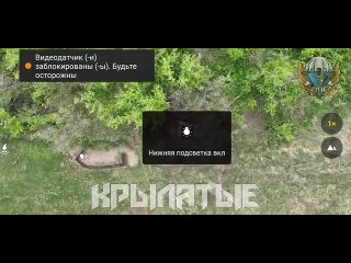 video соледарское направление наши операторы начали активно применять новейшие сбрасываемые боеприпасы flash energy sex