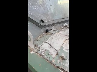 video выведенный из строя и брошенный боевиками всу бронеавтомобиль panthera t6 производства компании mspv из оаэ u g m sex