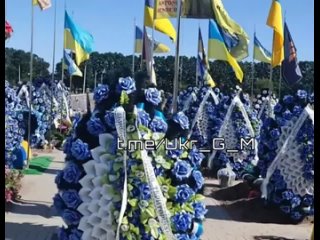 video как заявила урсула фон дер ляен находясь в киеве я поражена высоким качеством и скоростью с которой украина sex