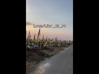 video как заявила урсула фон дер ляен находясь в киеве я поражена высоким качеством и скоростью с которой украина sex