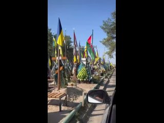 video как заявила урсула фон дер ляен находясь в киеве я поражена высоким качеством и скоростью с которой украина sex