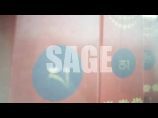 video sage горизонтальный концерт медитация в новосибирске 4 ноября sex
