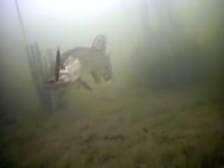 video щука клюет блесну 1 подводные съемки весь фильм ссылка в описании на 1 17 сек sex